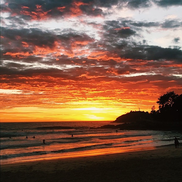 Meet your Posher, Kaylee - Picture 1 of 1